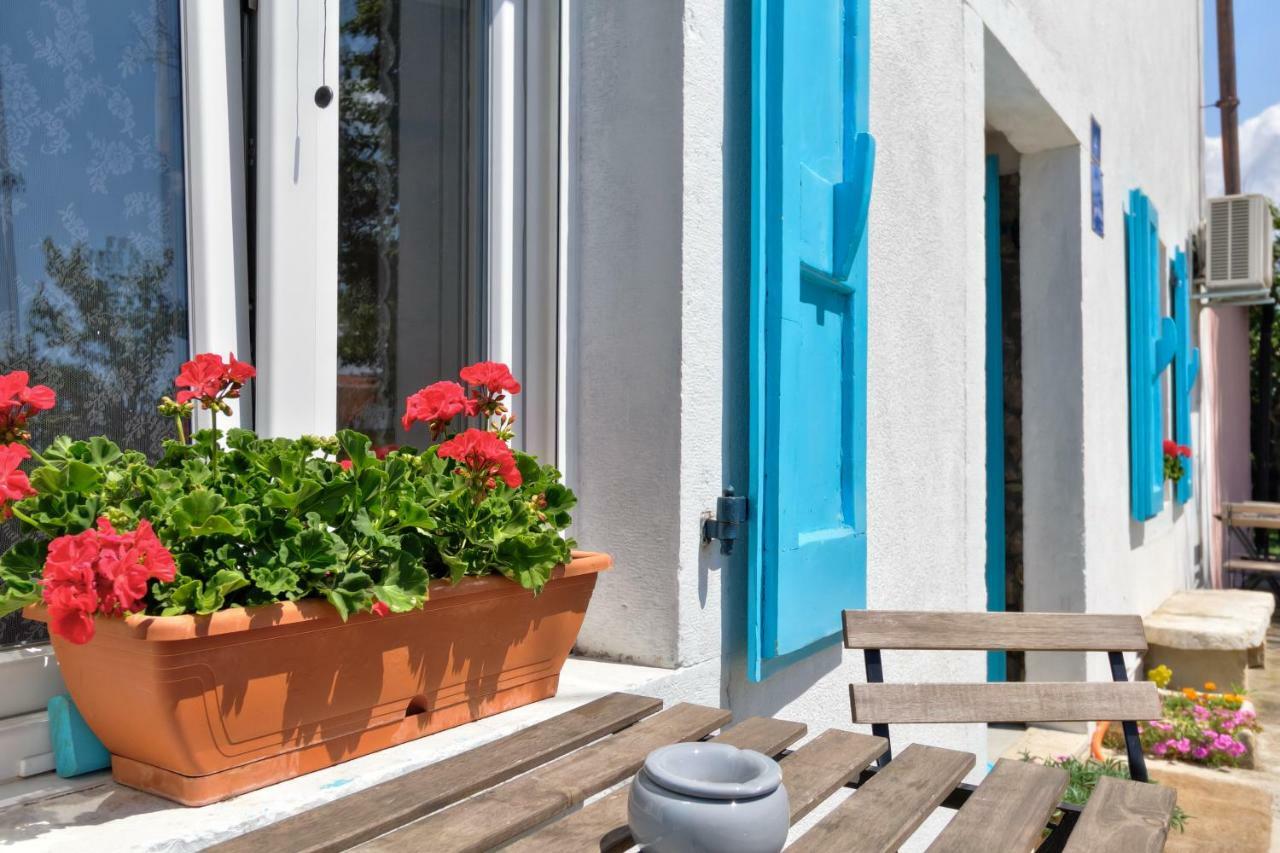 Apartmani Anna Umag Zewnętrze zdjęcie