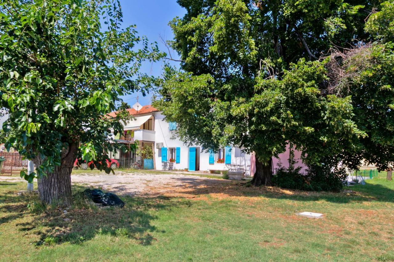 Apartmani Anna Umag Zewnętrze zdjęcie